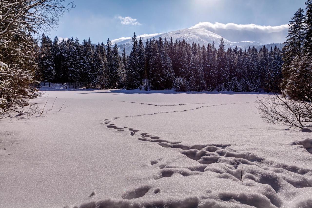 Chata Nella - Jasna Demanovska Dolina Exteriör bild